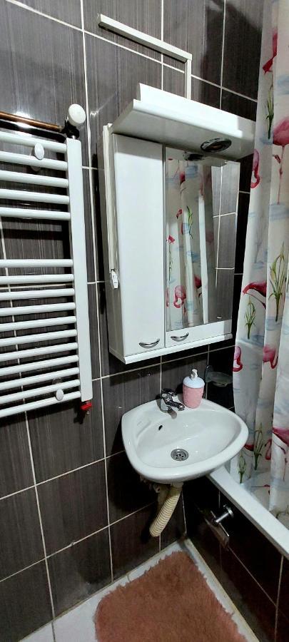 Apartmán Jednosoban stan centar Pirot Exteriér fotografie