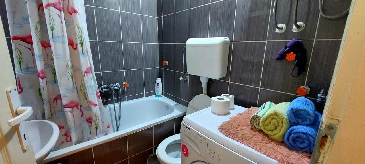 Apartmán Jednosoban stan centar Pirot Exteriér fotografie