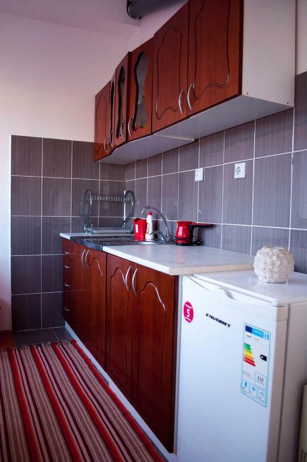 Apartmán Jednosoban stan centar Pirot Exteriér fotografie