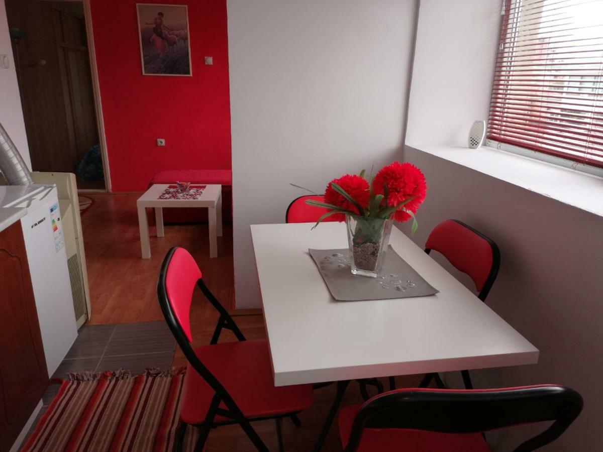 Apartmán Jednosoban stan centar Pirot Exteriér fotografie