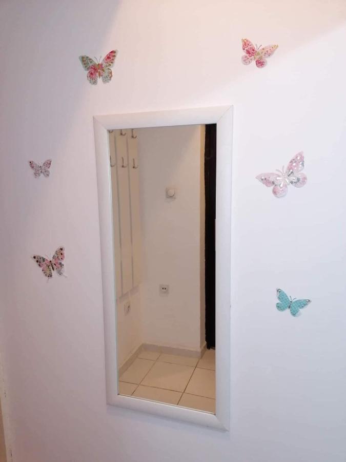 Apartmán Jednosoban stan centar Pirot Exteriér fotografie
